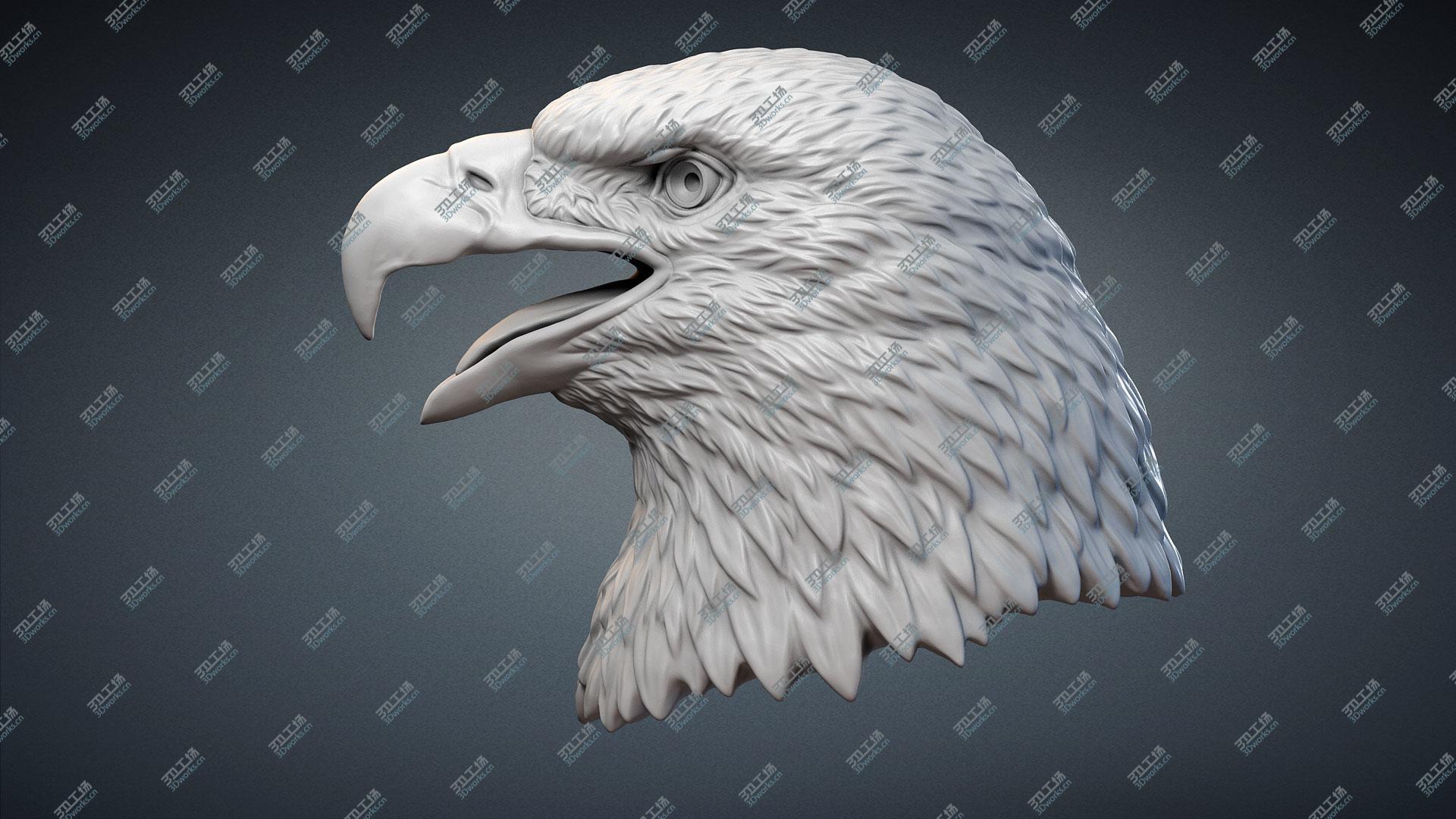 images/goods_img/2021040163/3D Bald Eagle Head Sculpture model/1.jpg